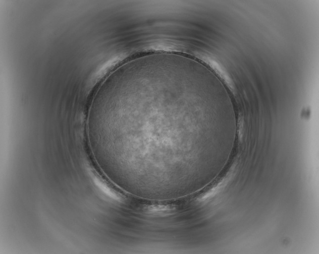 X0000090490445200707272344