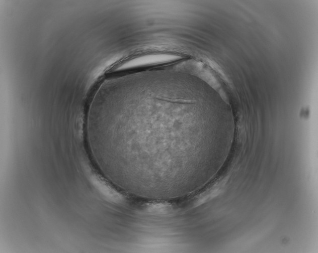 X0000090490446200707272344