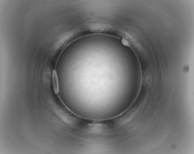 X0000090490448200707272344