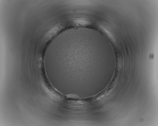 X0000090490451200707272344