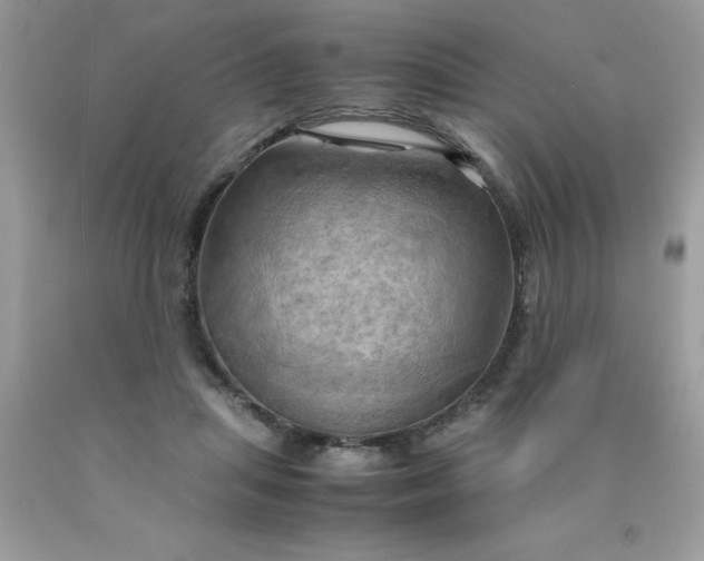X0000090490455200707272344