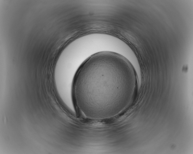 X0000090490456200707272344