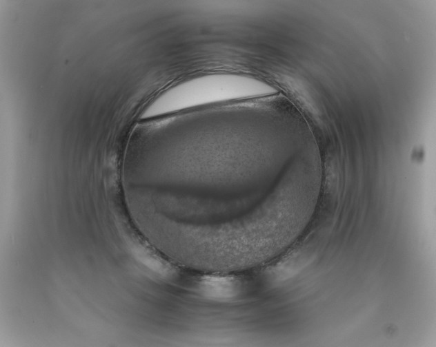 X0000090490457200707272344