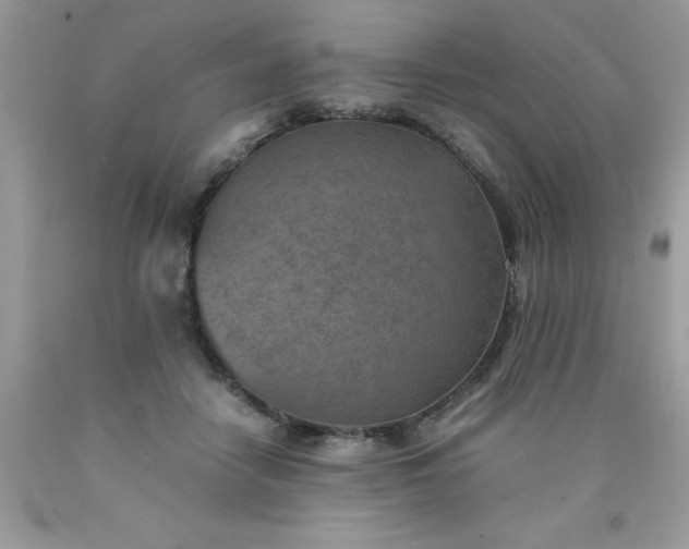X0000090490458200707272344