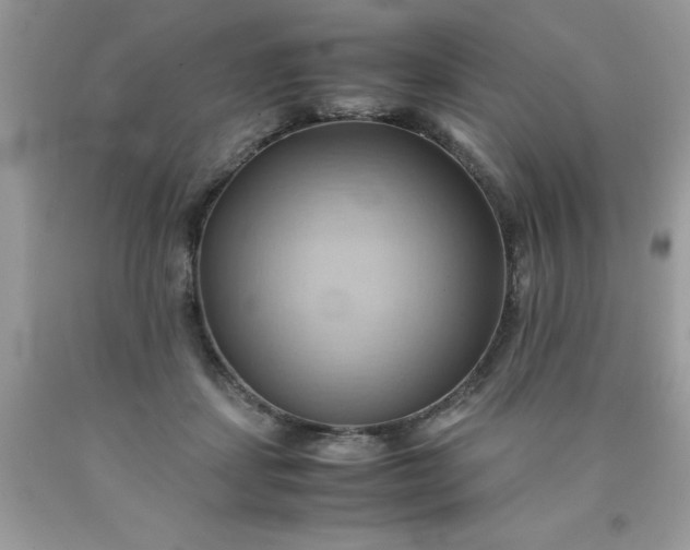 X0000090490459200707272344