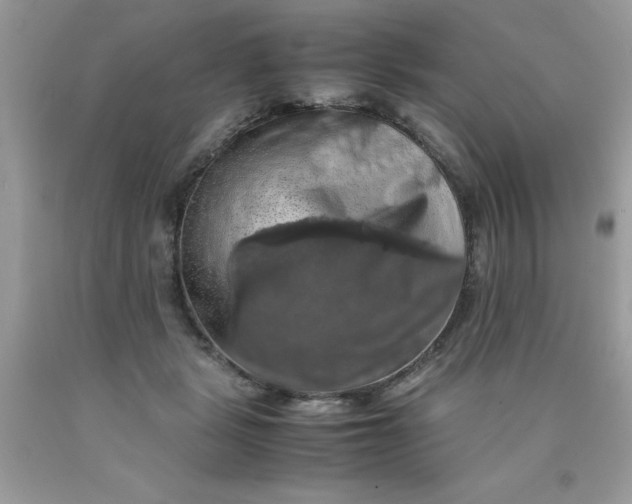 X0000090490461200707272344
