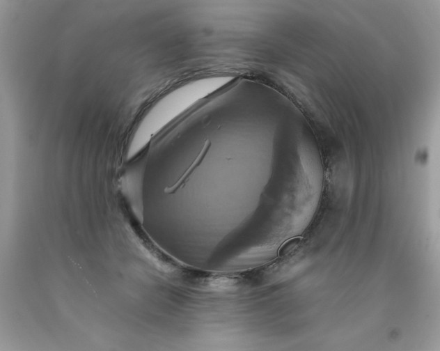 X0000090490462200707272344