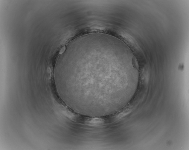 X0000090490463200707272344