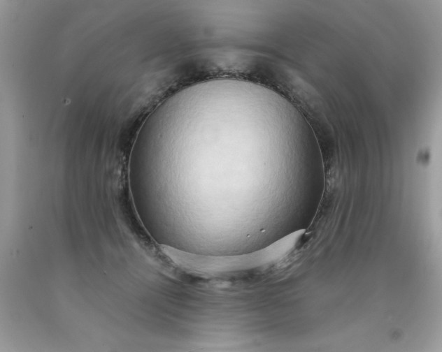 X0000090490464200707272344