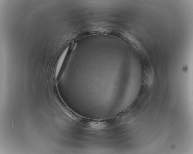X0000090490465200707272344