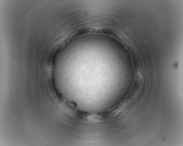 X0000090490468200707272344