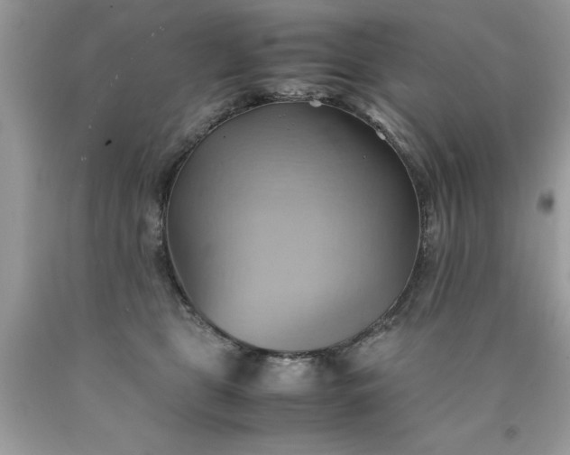 X0000090490469200707272344