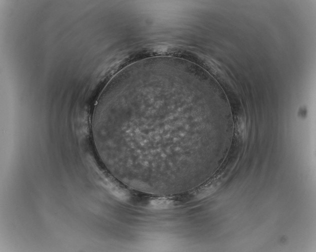 X0000090490470200707272344
