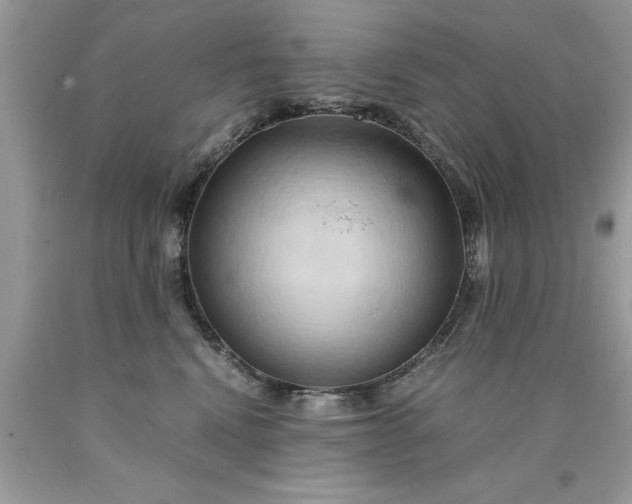 X0000090490472200707272344