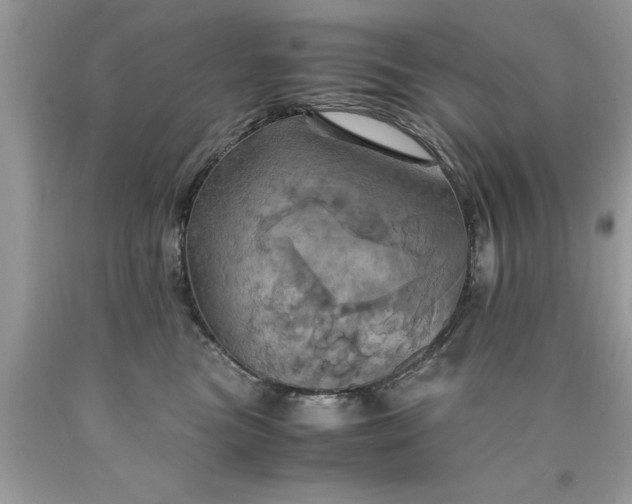 X0000090490473200707272344