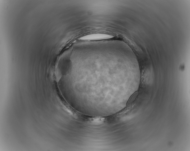 X0000090490474200707272344