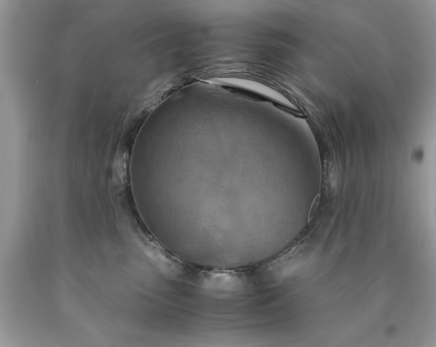 X0000090490475200707272344