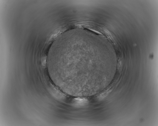 X0000090490477200707272344