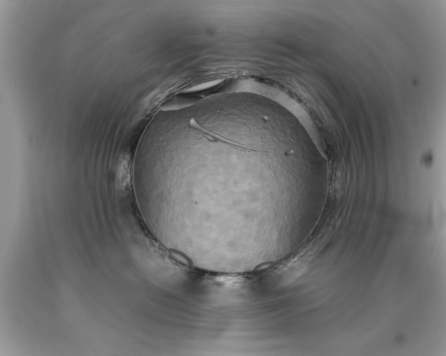 X0000090490478200707272344