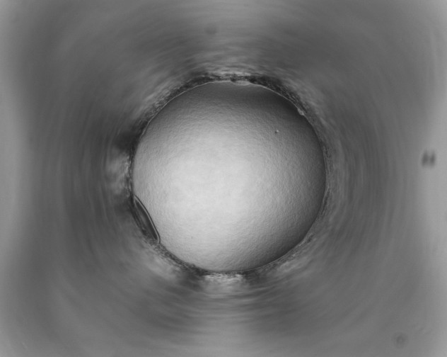 X0000090490480200707272344