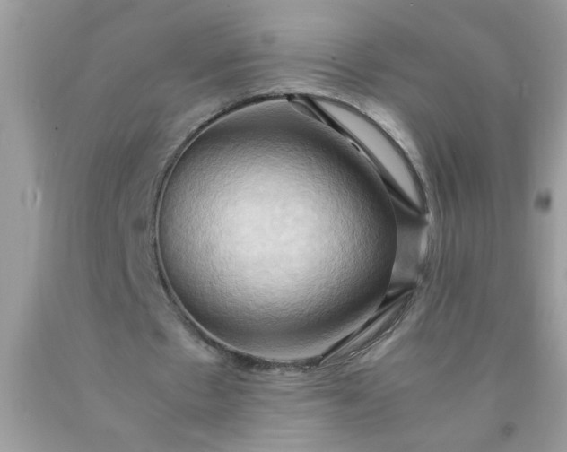 X0000090490481200707272344