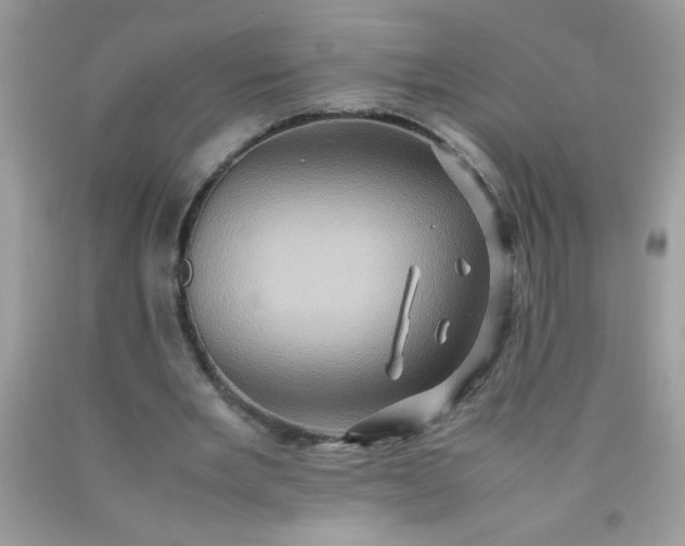 X0000090490485200707272344