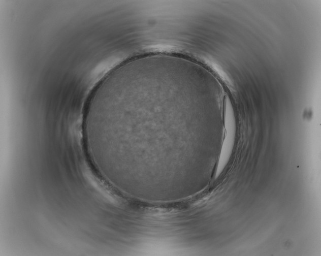 X0000090490486200707272343