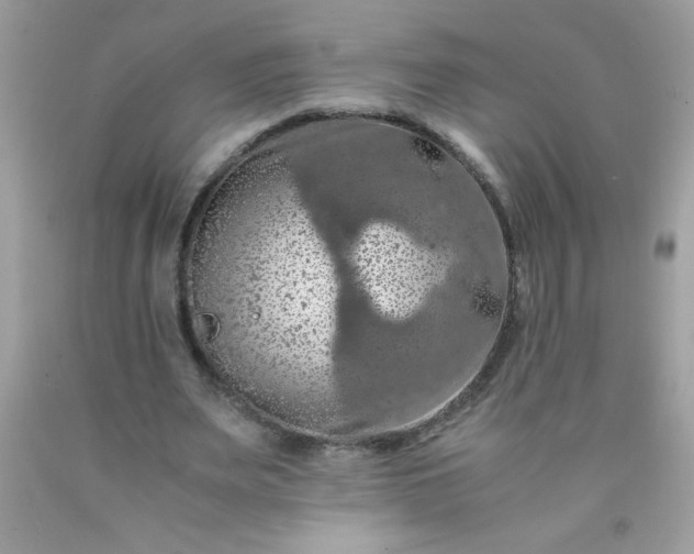 X0000090490487200707272343