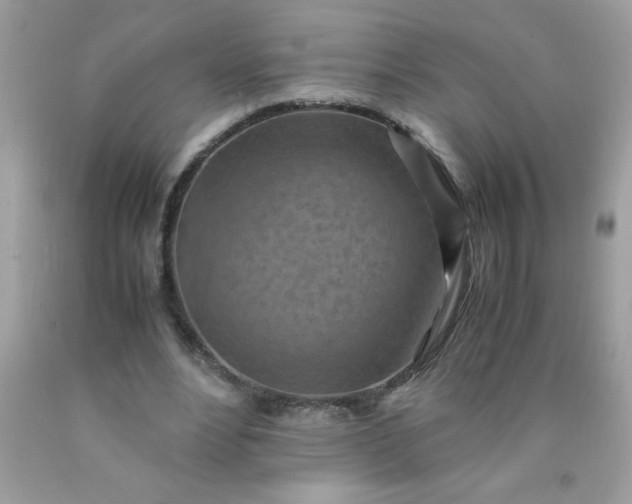 X0000090490488200707272343