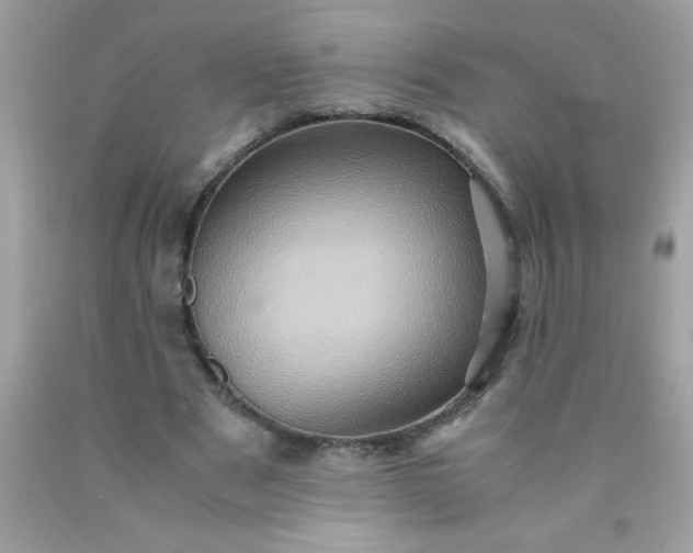X0000090490489200707272343