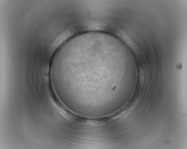 X0000090490490200707272343