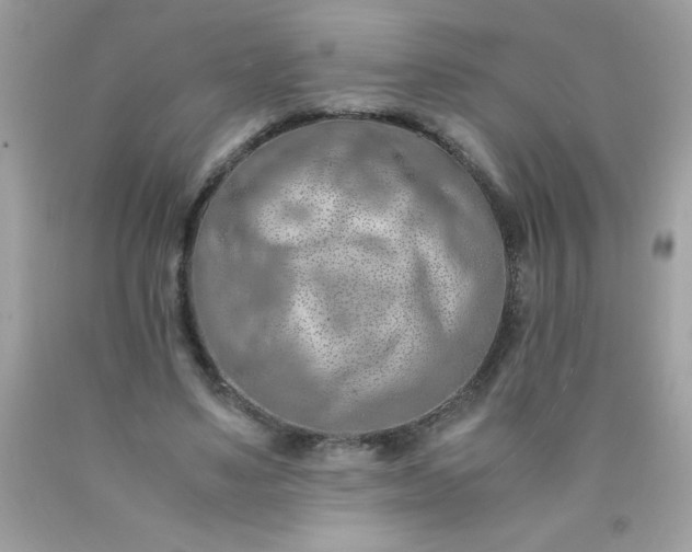 X0000090490491200707272343