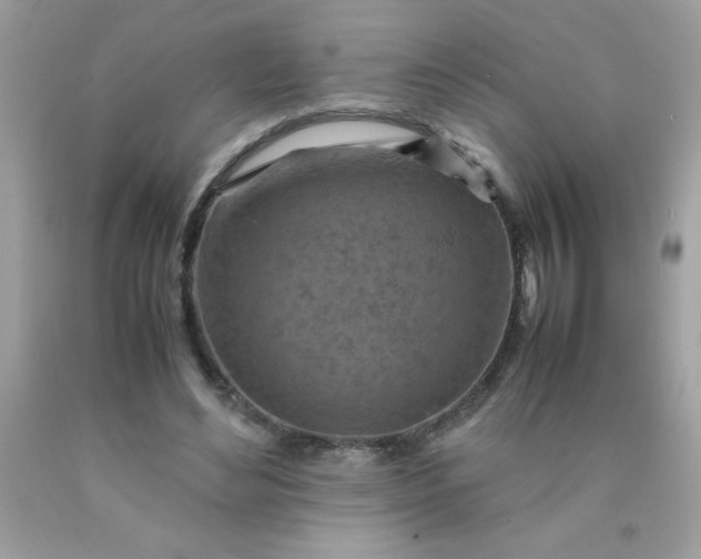 X0000090490492200707272343