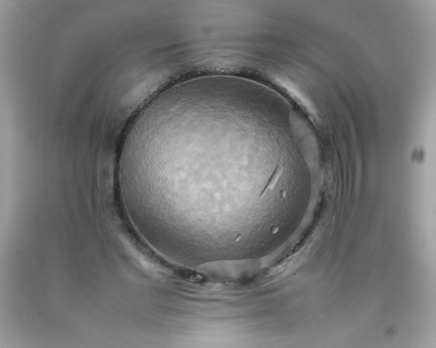 X0000090490493200707272343