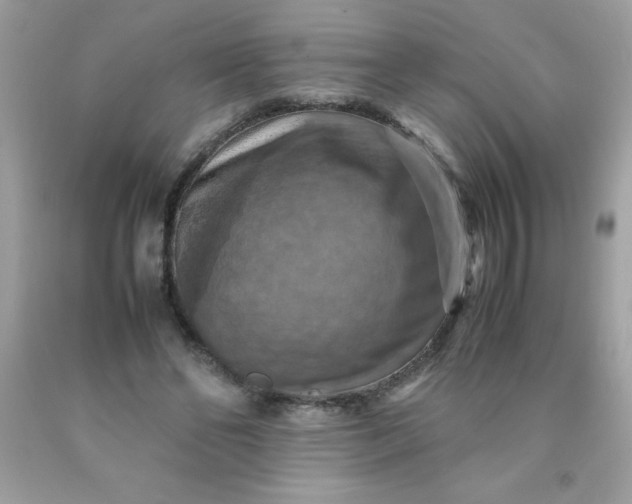 X0000090490494200707272343