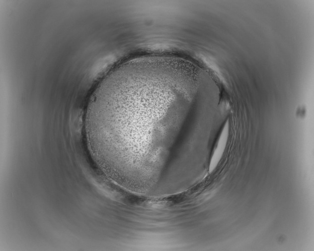 X0000090490495200707272343