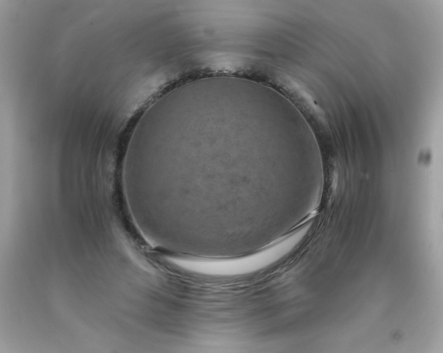 X0000090490496200707272343