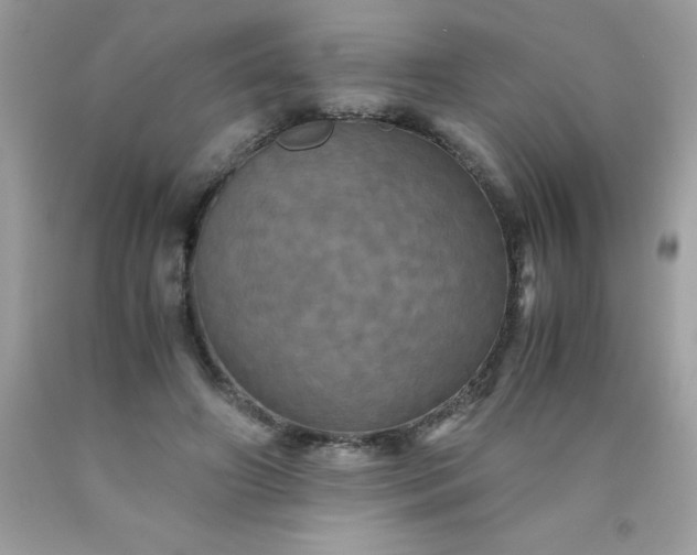 X0000090490498200707272343