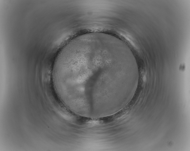 X0000090490499200707272343