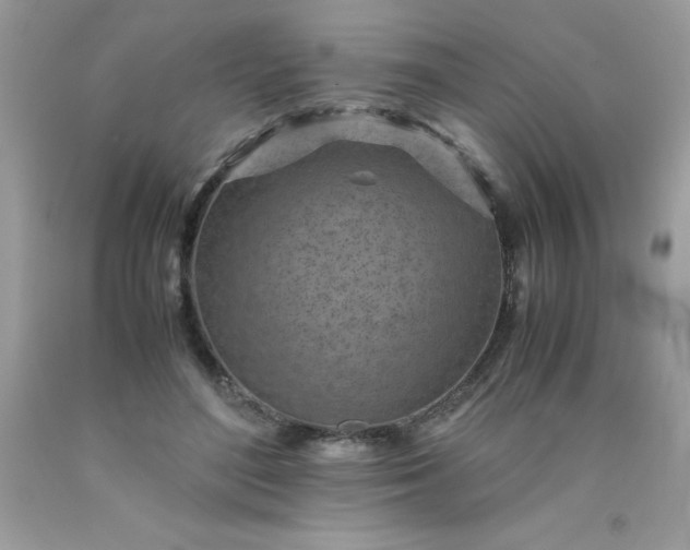 X0000090490500200707272343