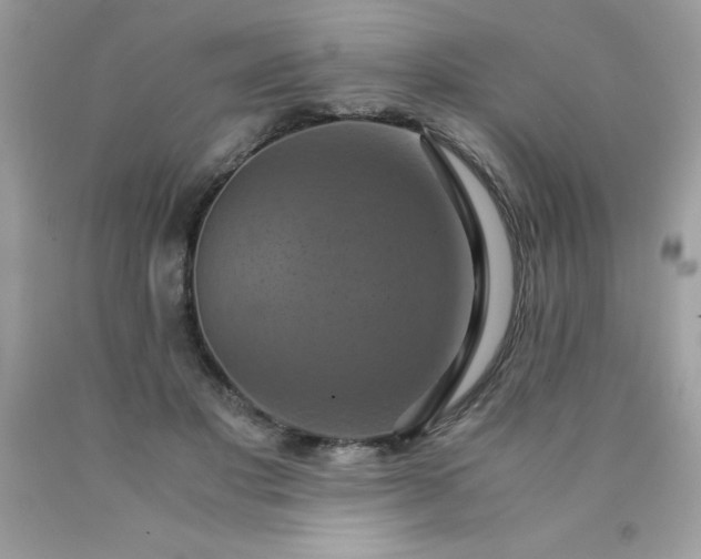 X0000090490501200707272343