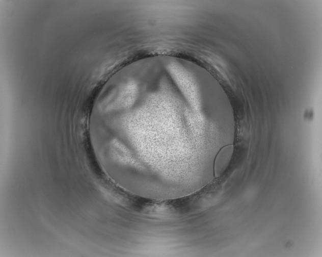 X0000090490503200707272343