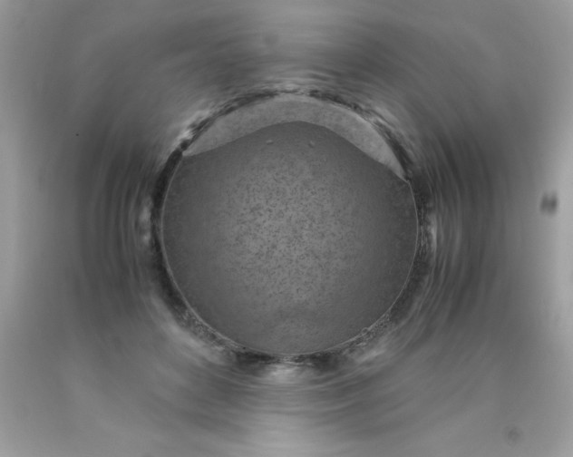 X0000090490504200707272343
