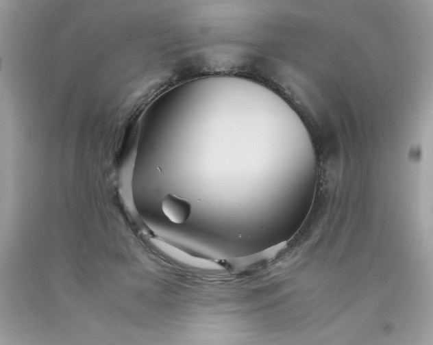 X0000090490505200707272343