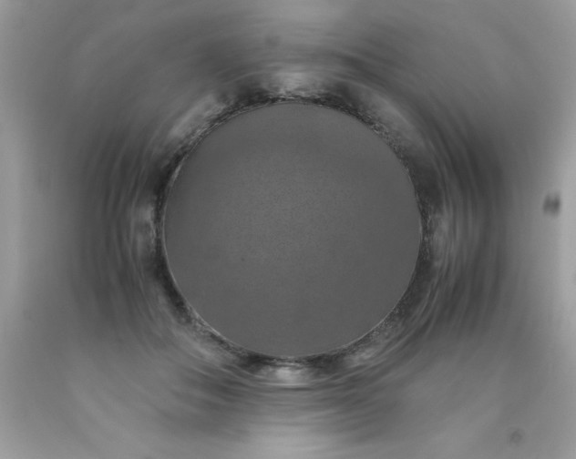 X0000090490506200707272343