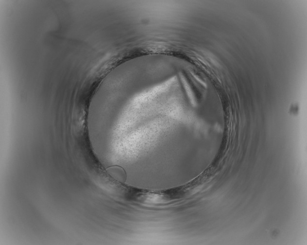 X0000090490507200707272343