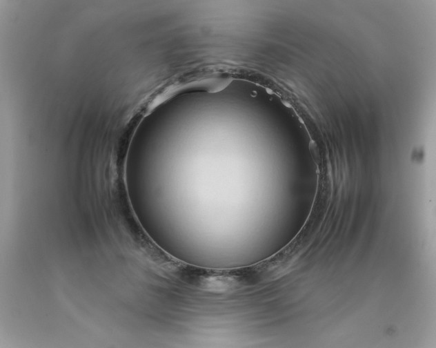 X0000090490508200707272343