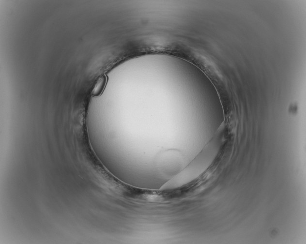 X0000090490509200707272343