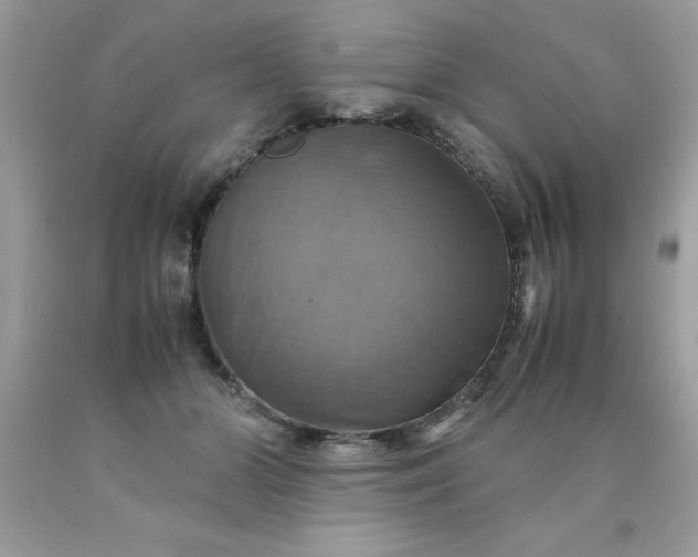 X0000090490510200707272343