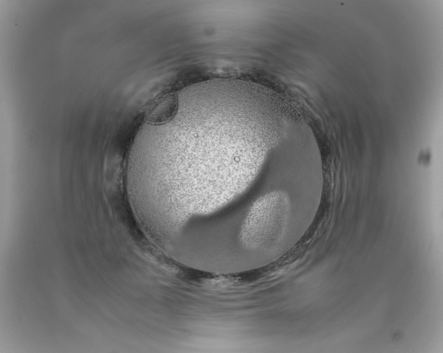 X0000090490511200707272343